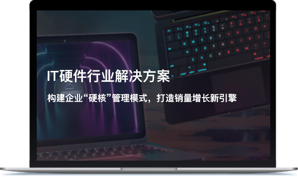 IT 硬件行业