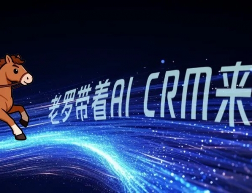 马上过年了，对于AI CRM我们想聊点掏心窝子的话！